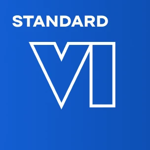 GTA VI Standard – PS (Турция)